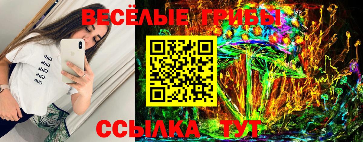 Псилоцибиновые грибы мицелий Серов